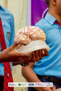 IBRO-Dana Foundation Community Brain Awareness Program, 2026.